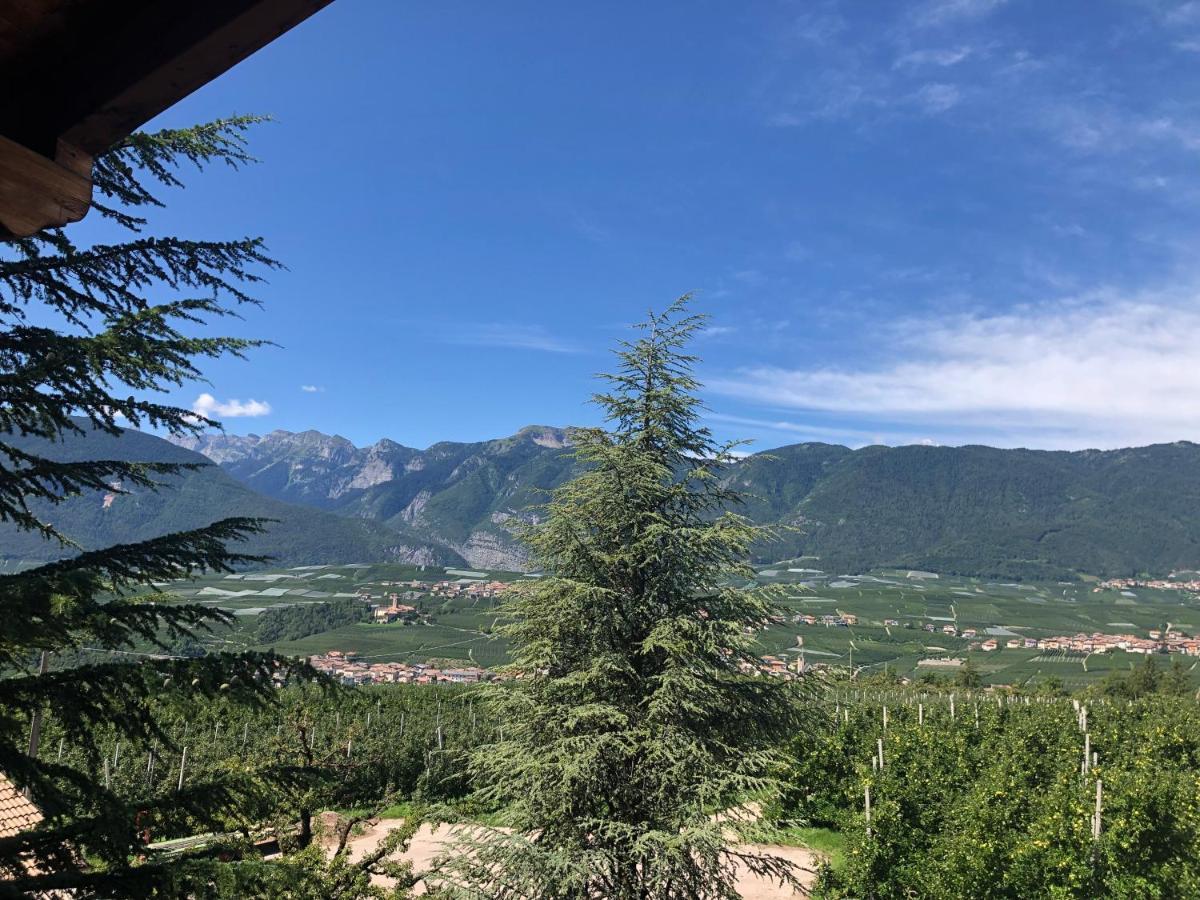 Вілла Agritur Al Maso Коредо Екстер'єр фото